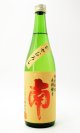 南　特別純米　出羽燦々　ひやおろし　720ml　【高知県】【南酒造場】【日本酒】