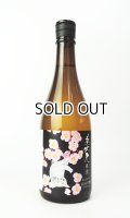 美丈夫　春酒　純米吟醸　720ml  【高知県】【濱川商店】【日本酒】