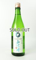 山法師　純米吟醸　玉苗　たまなえ　720ml　【山形県】【六歌仙】【日本酒】