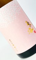 亀の海　「春うらら」　純米吟醸　槽口生　1800ml 【日本酒】【土屋酒造店 】