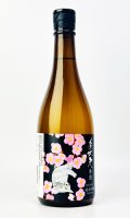 美丈夫　春酒　純米吟醸　720ml  【高知県】【濱川商店】【日本酒】