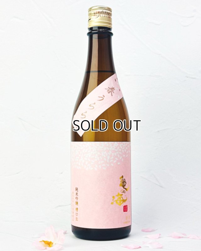 画像1: 亀の海　「春うらら」　純米吟醸　槽口生　720ml  (1)