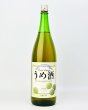画像2: 奥武蔵　うめ酒  1800ml   (2)