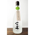 画像: 一粒の麦　furingo　ふうりんご　720ml 【西酒造】【鹿児島県】【麦焼酎】