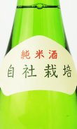 画像3: 根知男山　純米酒 1800ml 【新潟県】【渡辺酒造店】【日本酒】