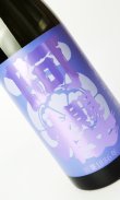 画像2: 阿櫻　亀の尾　無濾過生原酒　720ml 【秋田県】【阿櫻酒造】【日本酒】