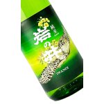 画像: 岩の井 純米「みどり 海亀」 1800ml 【千葉県】【岩瀬酒造】【日本酒】