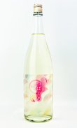 画像2: 春限定　純米吟醸　つばくろ　1800ml 【新潟県】【今代司酒造】【日本酒】