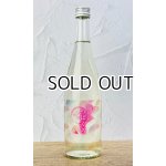 画像: 春限定　純米吟醸　つばくろ　720ml 【新潟県】【今代司酒造】【日本酒】