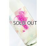 画像: 春限定 純米吟醸 つばくろ 1800ml 【新潟県】【今代司酒造】【日本酒】