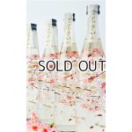 画像: 噴井（ふきい）　純米　桜ボトル　720ml  【三重県】【石川酒造】【日本酒】