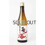 画像: 亀の海　超辛口純米　からじゅん　720ml 