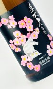 画像1: 美丈夫　春酒　純米吟醸　1800ml  【高知県】【濱川商店】【日本酒】