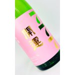 画像: 開運　春陽(しゅんよう)　1800ml 【静岡県】【日本酒】