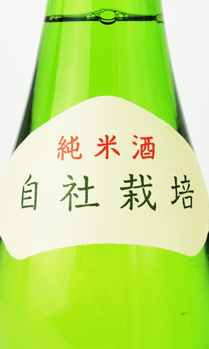 画像3: 根知男山　純米酒 1800ml 【新潟県】【渡辺酒造店】【日本酒】